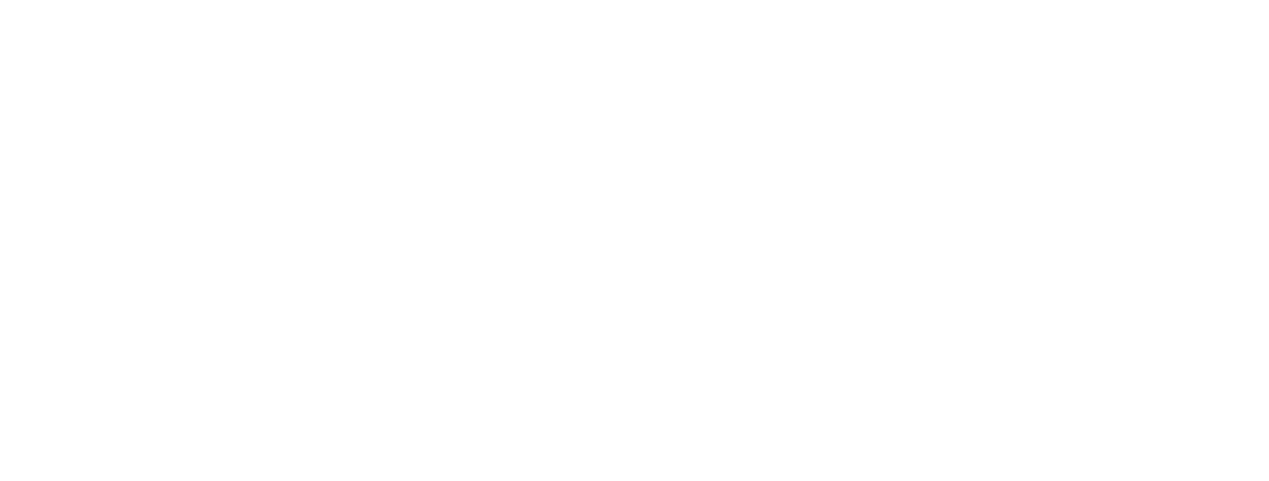 logo flash and flavour reportage photo hospitality - Belgique et international - mood nuit américaine direct flash